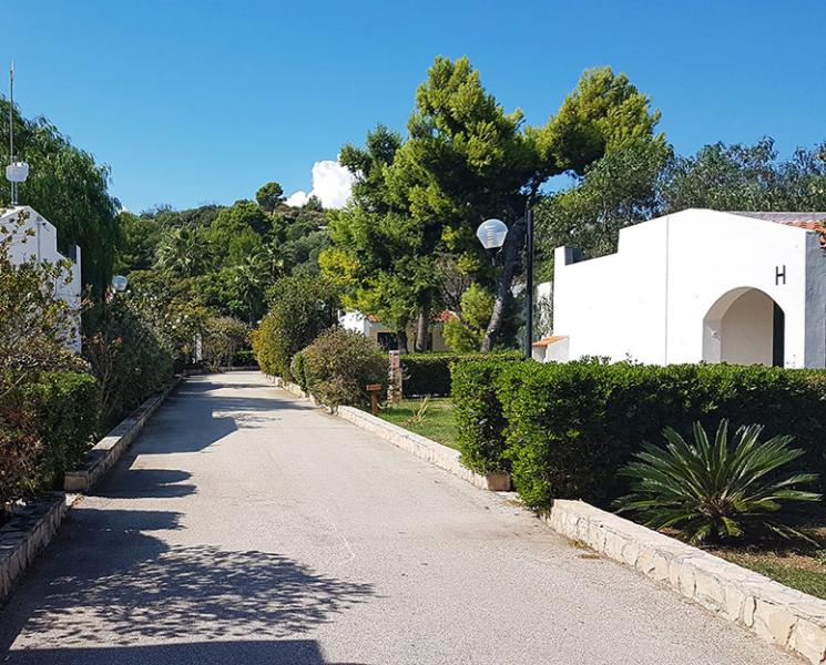 Stradina soleggiata tra villette bianche e rigogliosi alberi, atmosfera serena e mediterranea.